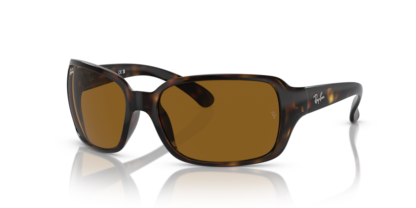 Ray-Ban RB4068 Rb4068 Sunglasses