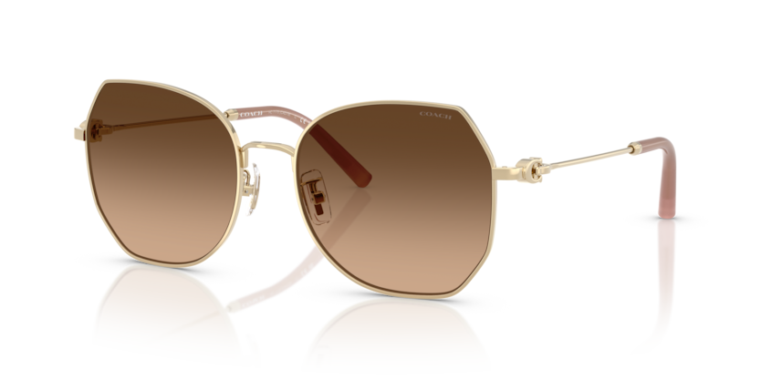 Coach HC7175 Cad79 Sunglasses