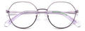 Polaroid PLD D490/G Eyeglasses
