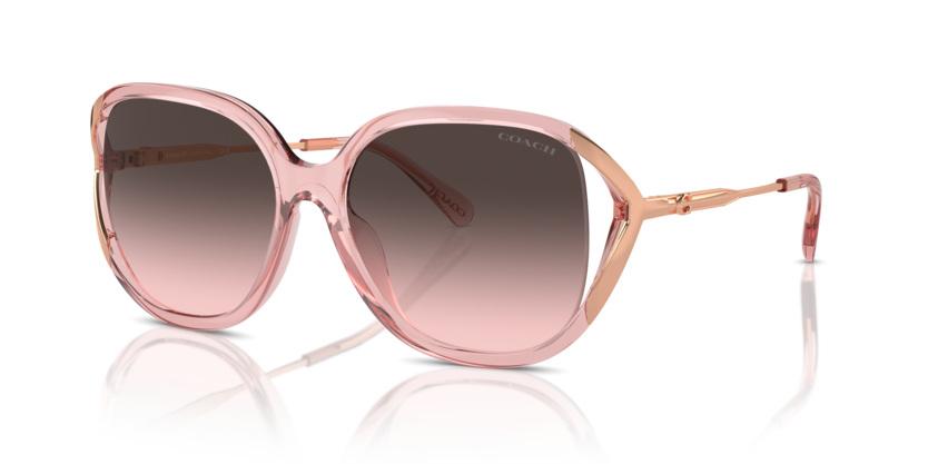Coach HC8396U Cr620 Sunglasses