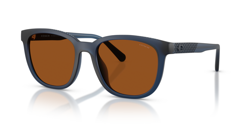 Coach HC8442U Cca00 Sunglasses