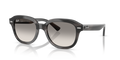 Ray-Ban RB4398F Erik Sunglasses