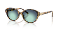 Tiffany TF4263D  Sunglasses