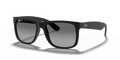 Ray-Ban RB4165 Justin Sunglasses