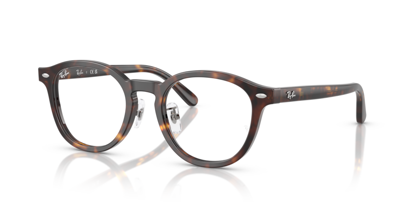 Ray-Ban Vista RX5443D  Eyeglasses
