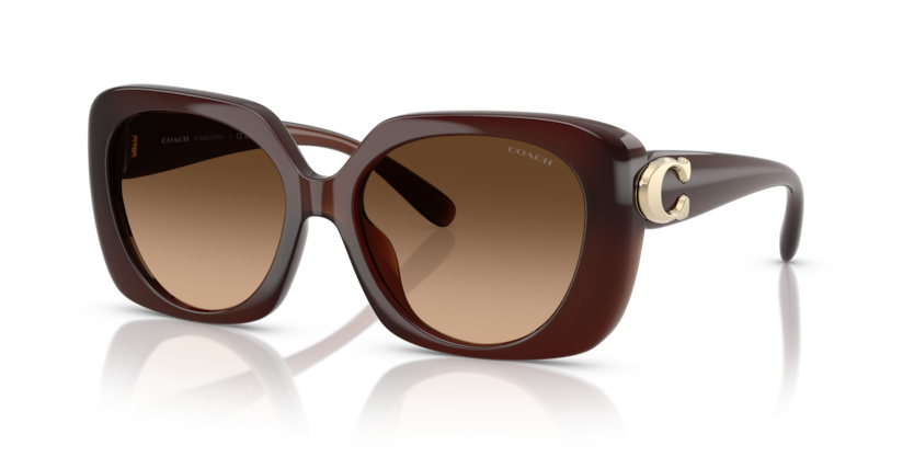 Coach HC8422U Cad33 Sunglasses