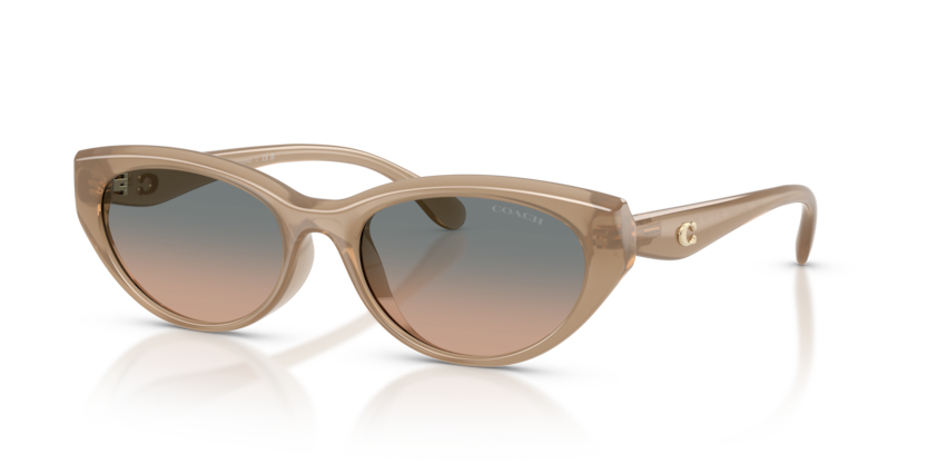 Coach HC8456D Cdp42 Sunglasses