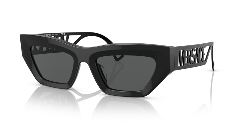 Versace VE4432U  Sunglasses