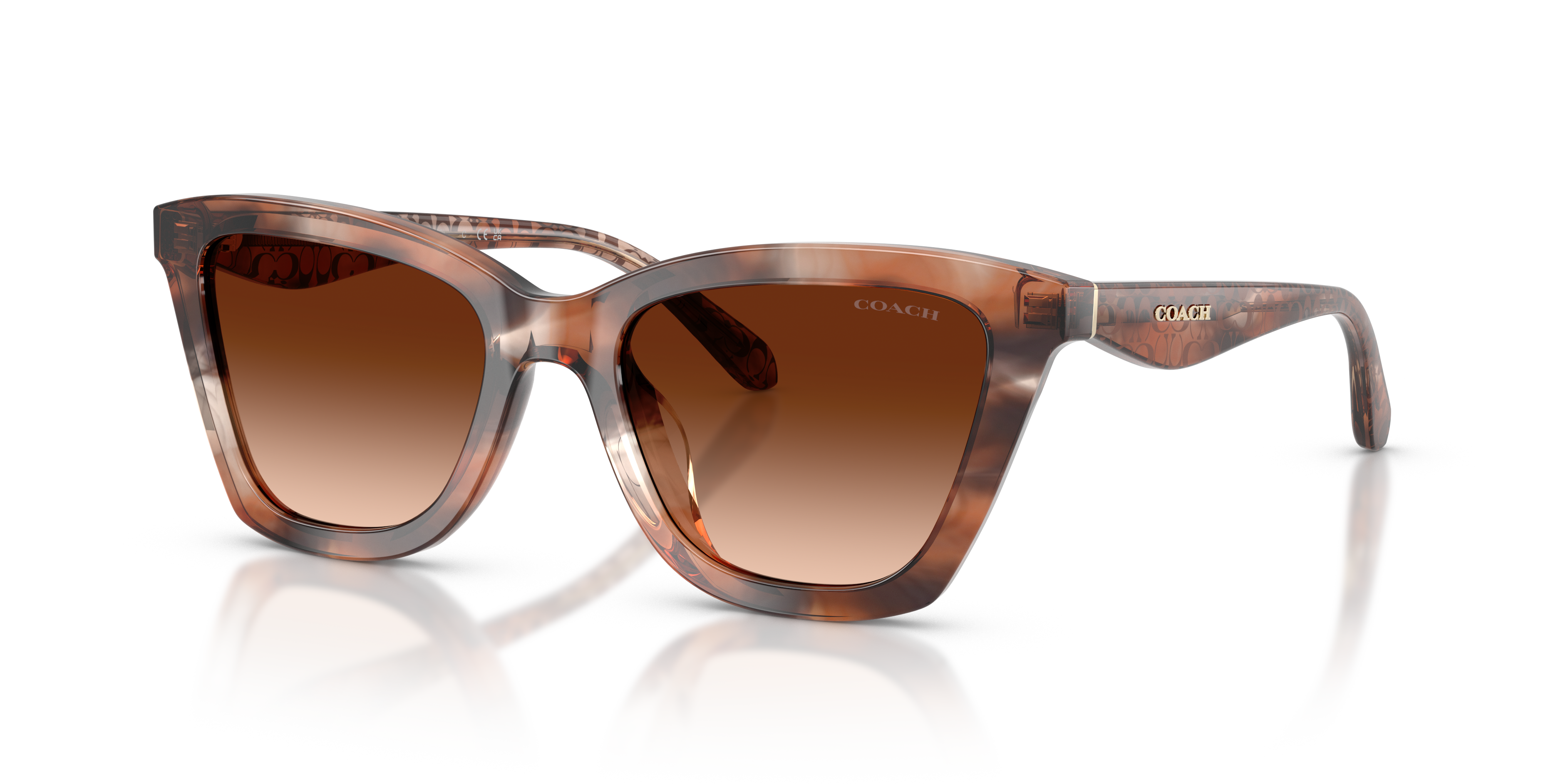 Coach HC8464U Cfu10 Sunglasses