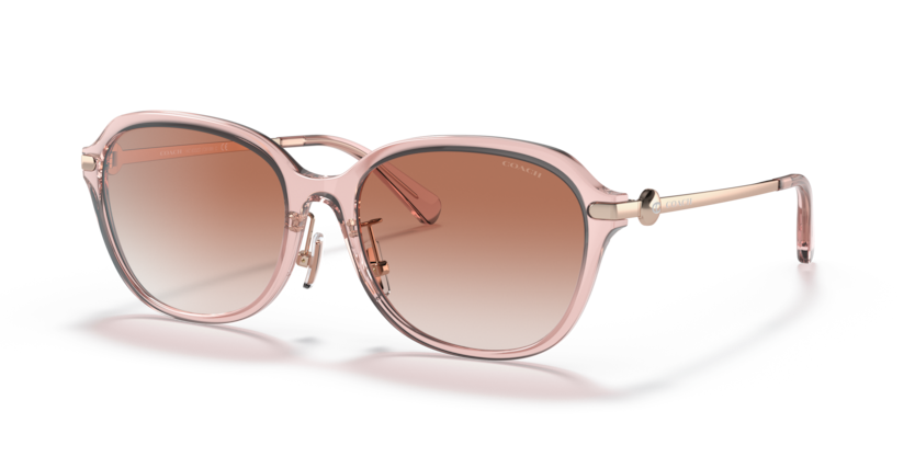 Coach HC8332D C6199 Sunglasses