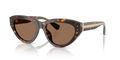 Dolce & Gabbana DG4558  Sunglasses