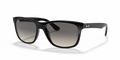Ray-Ban RB4181 Rb4181 Sunglasses