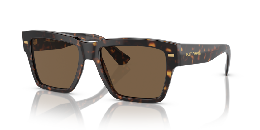 Dolce & Gabbana DG4431  Sunglasses