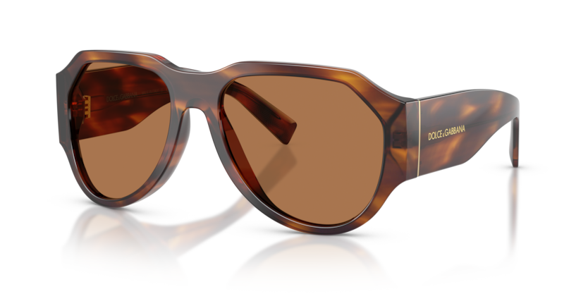 Dolce & Gabbana DG4504  Sunglasses