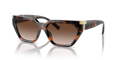 Tiffany TF4205U  Sunglasses