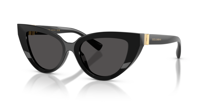 Dolce & Gabbana DG4497  Sunglasses