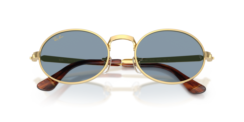 Ray-Ban RB3931  Sunglasses