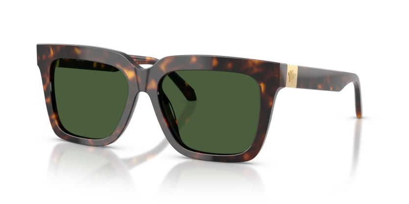 Versace VE4498  Sunglasses