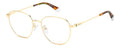 Polaroid PLD D509/G Eyeglasses