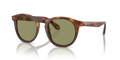 Giorgio Armani AR8192  Sunglasses