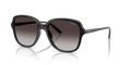 Ray-Ban RB2213  Sunglasses