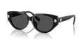 Swarovski SK6035D  Sunglasses