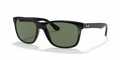 Ray-Ban RB4181 Rb4181 Sunglasses