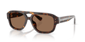 Dolce & Gabbana DG4561  Sunglasses