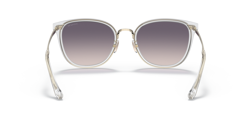 Coach HC7135 C7999 Sunglasses