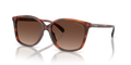 Coach HC8361U Ch558 Sunglasses