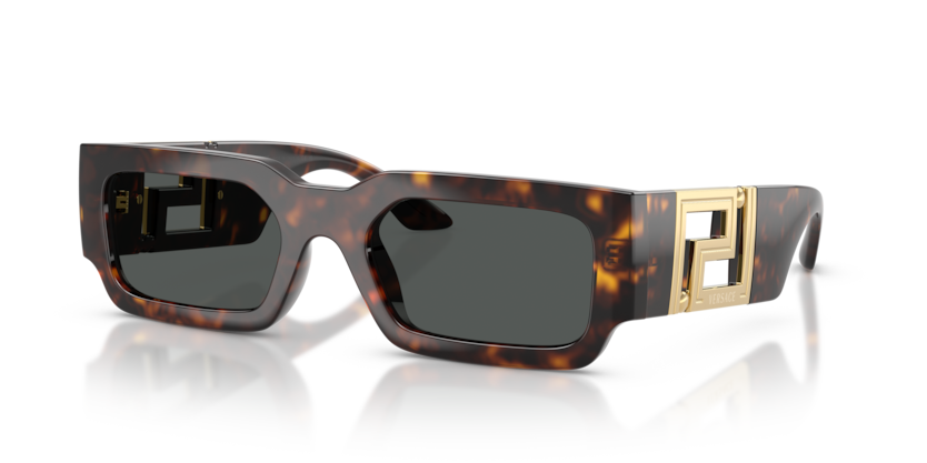 Versace VE4506U  Sunglasses