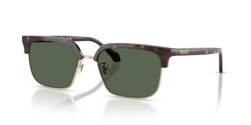 Versace VE4494D  Sunglasses