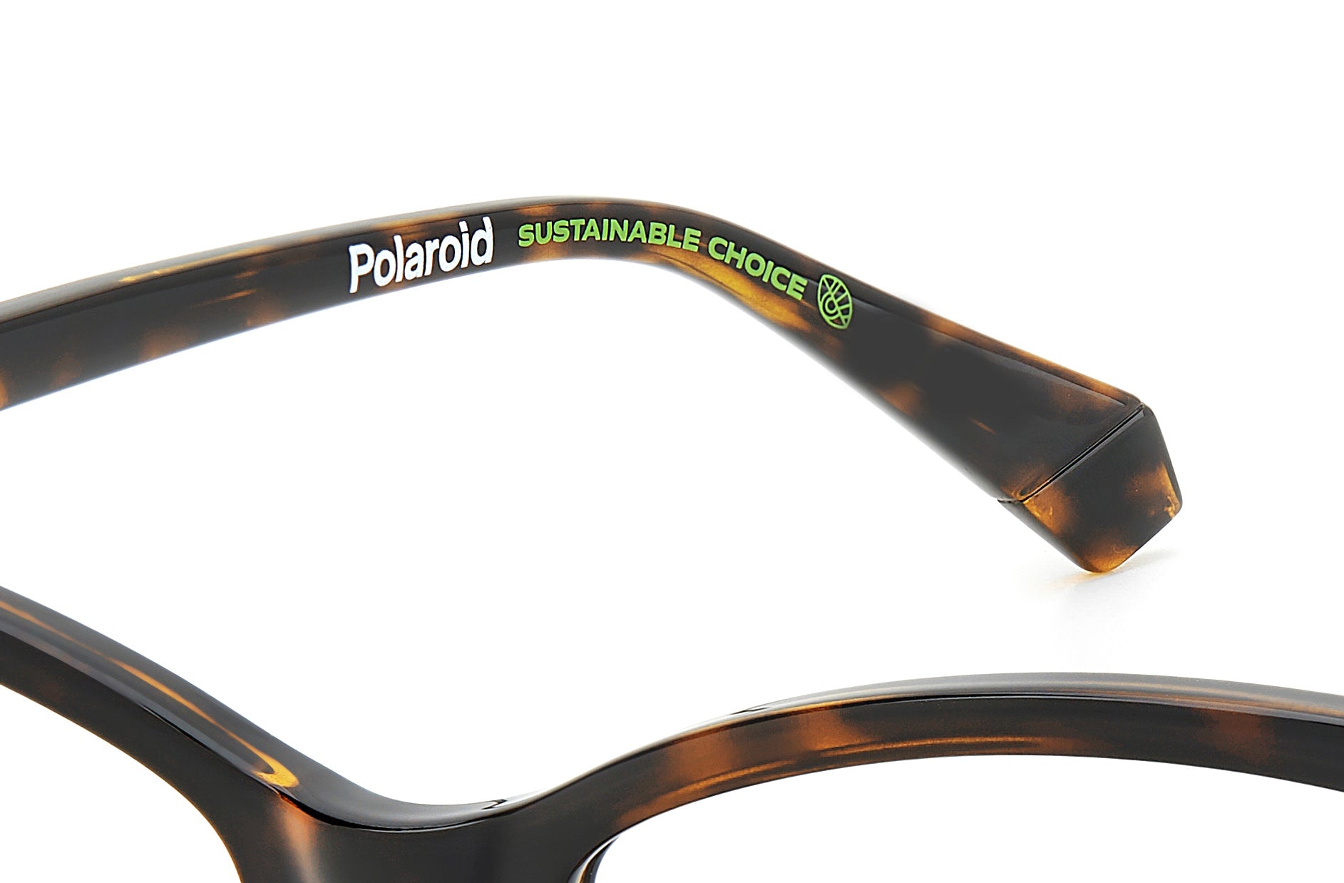 Polaroid Pld D505 Eyeglasses