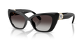 Swarovski SK6047  Sunglasses