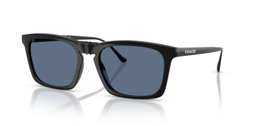 Coach HC8455 Cdp54 Sunglasses