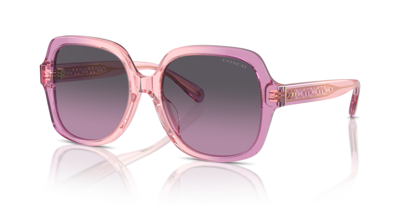 Coach HC8395F Cr962 Sunglasses
