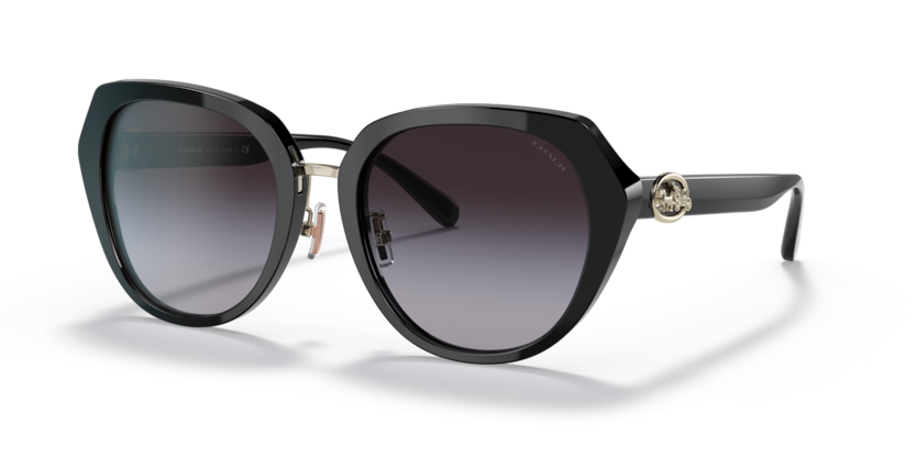 Coach HC8331 C6189 Sunglasses