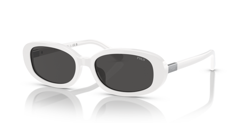 Polo PH4198U  Sunglasses