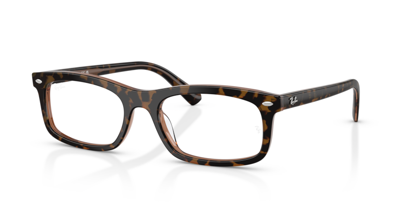 Ray-Ban Vista RX5450  Eyeglasses