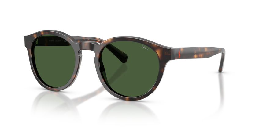 Polo PH4192  Sunglasses