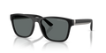 Polo PH4229U  Sunglasses