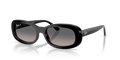 Ray-Ban RB2221F  Sunglasses