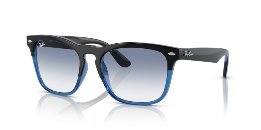 Ray-Ban RB4487 Steve Sunglasses