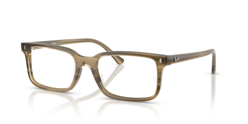 Ray-Ban Vista RX5445F  Eyeglasses