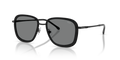 Diesel DL1017  Sunglasses