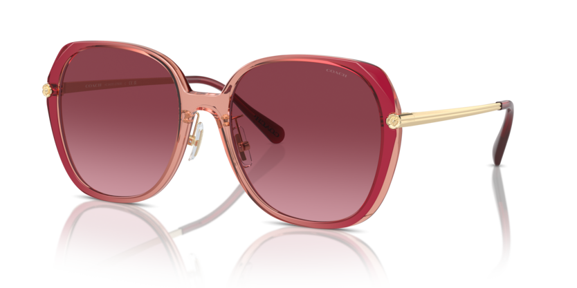 Coach HC8403D Cr636 Sunglasses