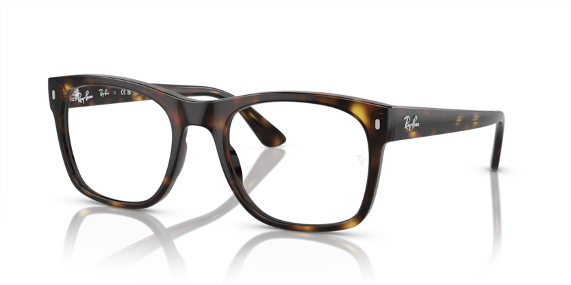 Ray-Ban Vista RX7228  Eyeglasses