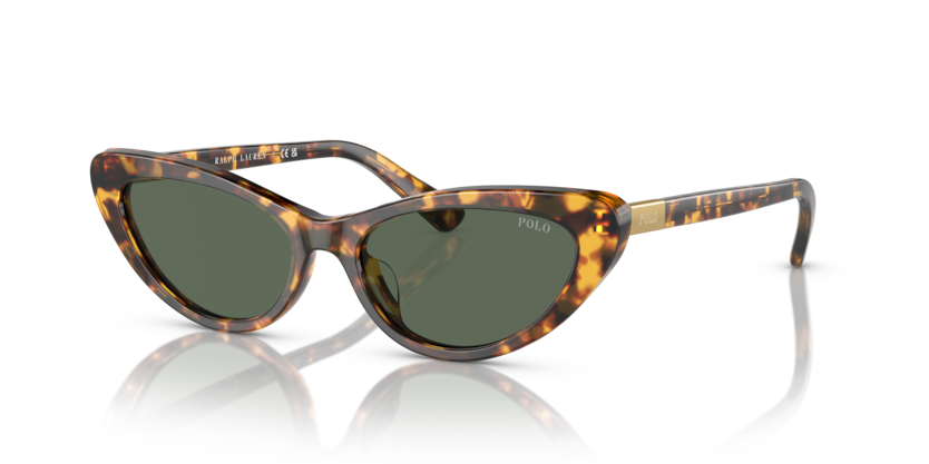 Polo PH4199U  Sunglasses