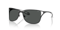 Diesel DL1019  Sunglasses