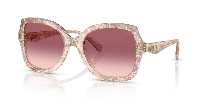 Coach HC8410U Cw225 Sunglasses